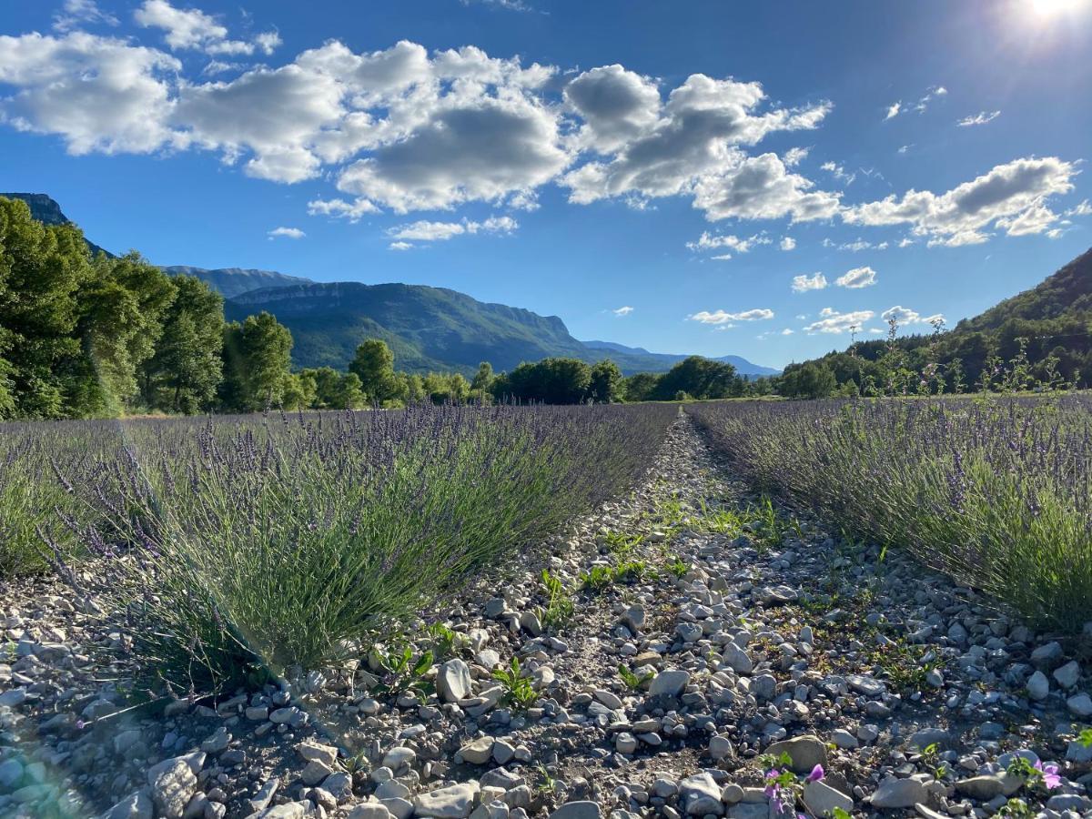 Gite En Haute Provence Montfroc ภายนอก รูปภาพ
