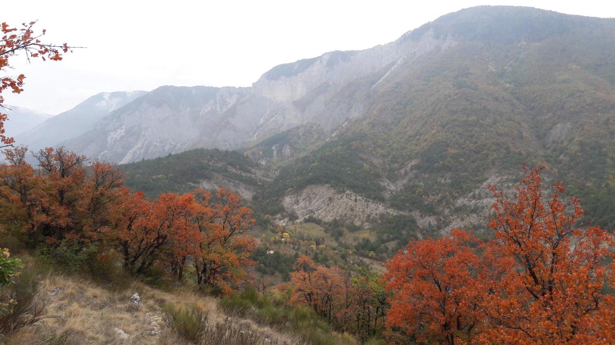 Gite En Haute Provence Montfroc ภายนอก รูปภาพ