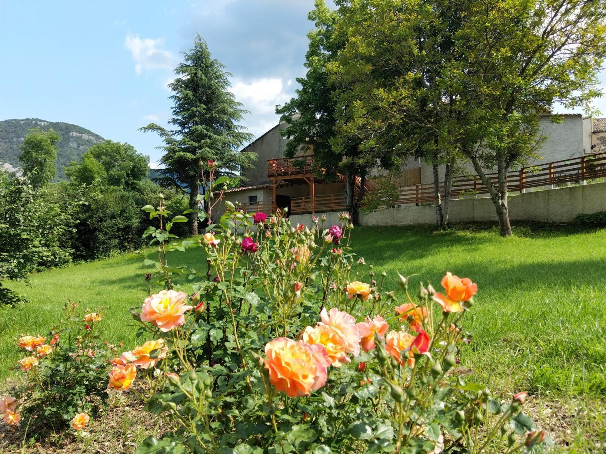Gite En Haute Provence Montfroc ภายนอก รูปภาพ