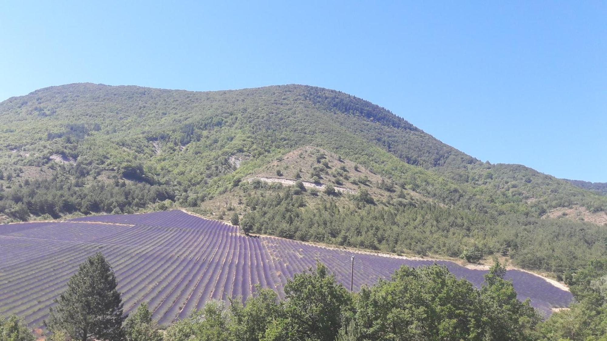 Gite En Haute Provence Montfroc ภายนอก รูปภาพ